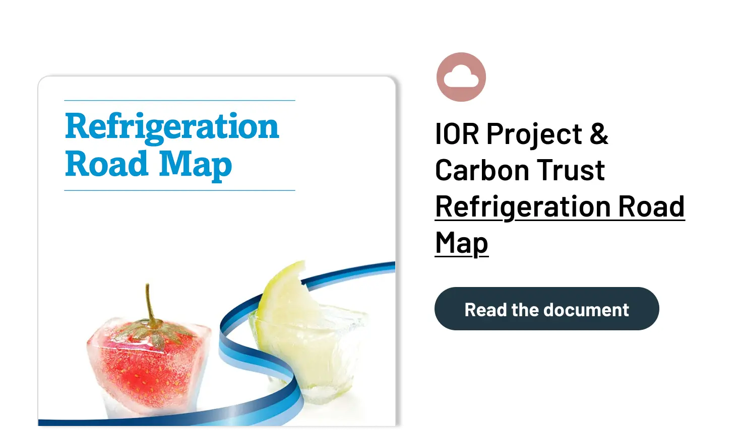 IOR Project & Carbon Trust Refrigeration Road Map
